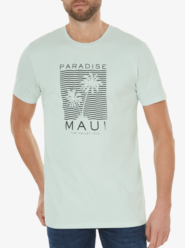 the City - Maui, Light mint